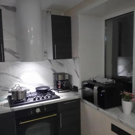 Apartment Nika