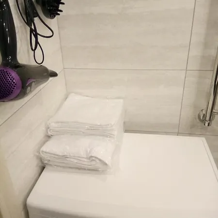 Apartment Nika